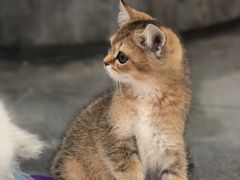 -星巴克臻选(南京艾尚天地店)