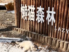 -沂蒙山旅游区云蒙景区(蒙山国家森林公园)