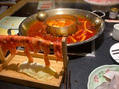 -新廊桥(原科华廊桥店)