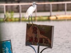 -东山湖公园