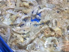-船梆煮•蒸汽海鲜·生腌干蒸(五四广场店)