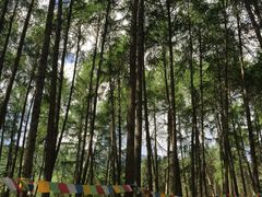 -硗碛藏寨·神木垒景区