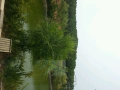 android_upload_pic-大连北马山庄