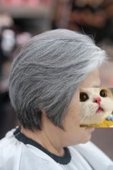 -和良形象