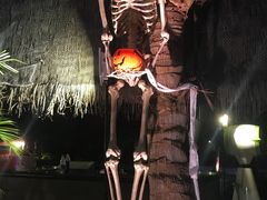 -亚马逊丛林水乐园