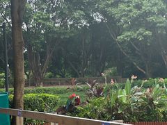 -广州长隆飞鸟乐园