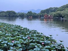 -杭州香格里拉·香宫中餐厅