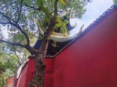 -白帝城·瞿塘峡景区