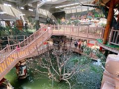 -南宫五洲植物乐园