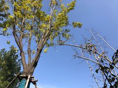 -太白山御龙湾温泉