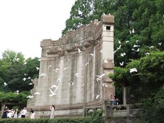 -音乐台