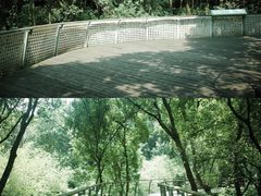 -西湖风景区-江洋畈生态公园