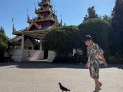 -洛阳白马寺