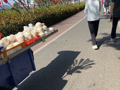 -野狸岛