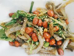 -陈添記·祖傳爽鱼皮·西关老字号(广州首店)