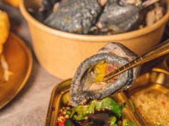 -Darling Queen·Mini·Live·House