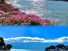 -大理洱海