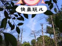 -名树园