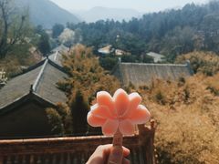 -潭柘寺景区