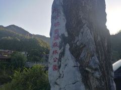 -牛背梁国家森林公园