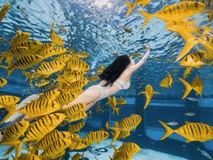 -三亚海昌梦幻海洋不夜城