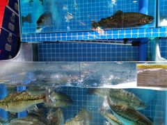 -翠微家园超市(甘家口店)