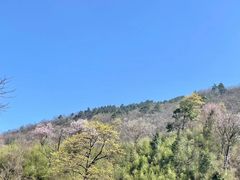 -浙西天池景区