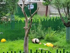 -沈阳森林动物园