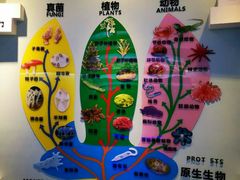 -金钉子远古世界景区