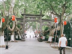 -杭州黄龙洞