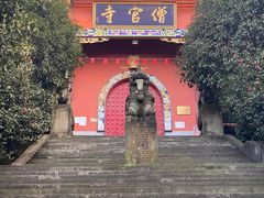 -铁山坪森林公园