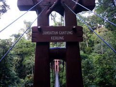 -乌鲁淡布隆国家公园