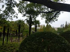 -瀛洲公园