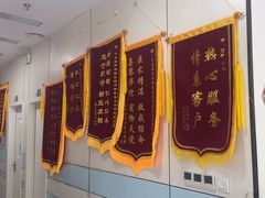 -中农国际动物医院24小时·猫科·骨科·急重症中心