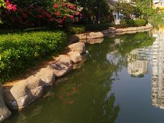 -江头公园