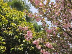 -四川大学(华西校区)