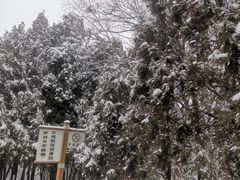 -森林公园(尖草坪区)