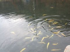 -丹东天桥沟景区