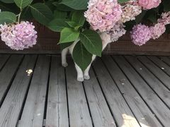 -秘密小花园(第三中学店)