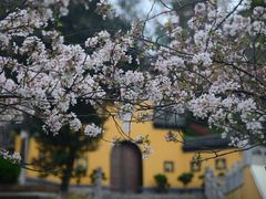 -鸡鸣寺