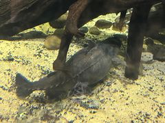 -江和美海洋公园