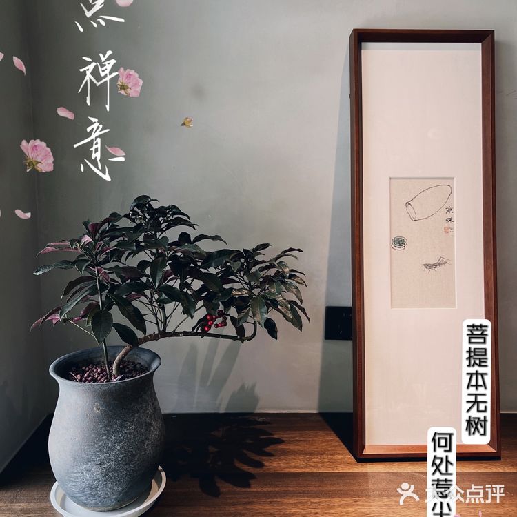 北京素食餐厅 | 素星人的首选如心妙膳