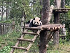 -安吉竹博园