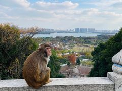 -苏州上方山国家森林公园