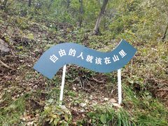 -秦岭天竺山景区