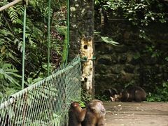 -西岭雪山大飞水景区