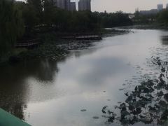 -新江湾城公园