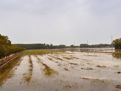 -嘉北郊野公园