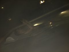 -苏州湾王焰温泉度假酒店