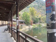 -长寿村
